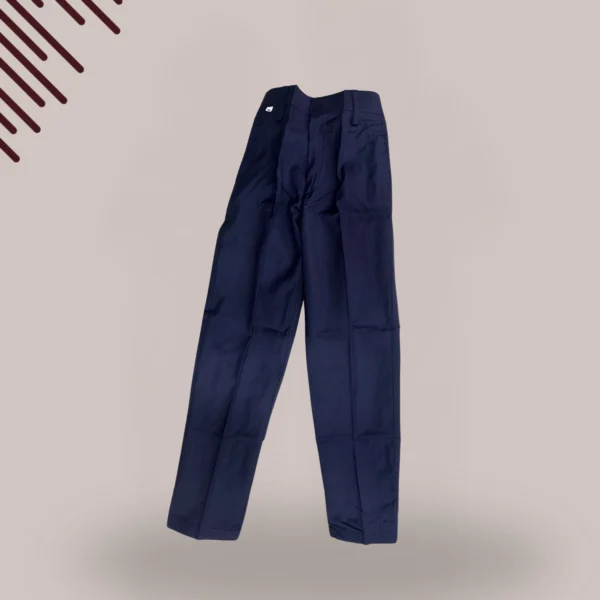 Navy Blue Pants